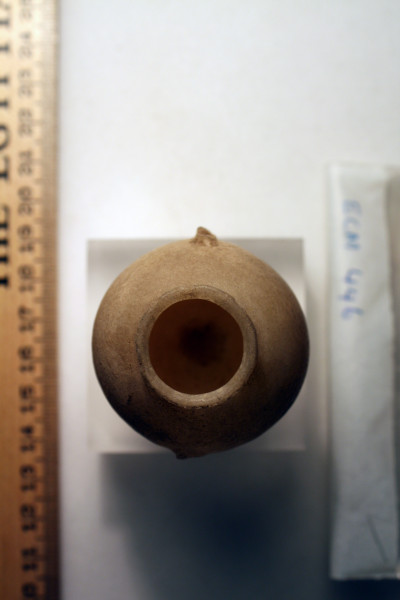 ECM.446-2010-C image ECM.446-2010-C