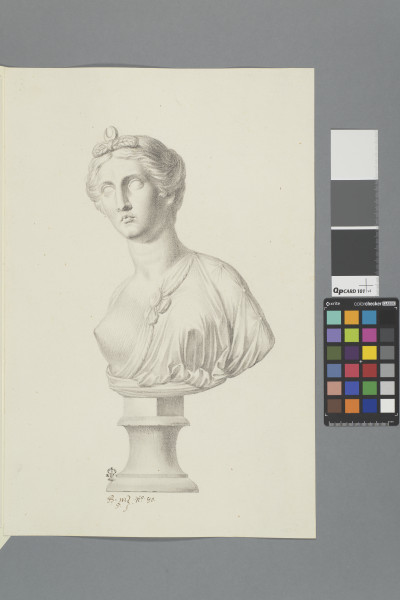 ECL-Bm.5_80-2012 image ECL-Bm.5_80-2012