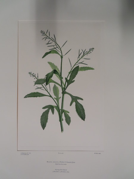 FDA-E.2916_20_8-2016 image FDA-E.2916_20_8-2016