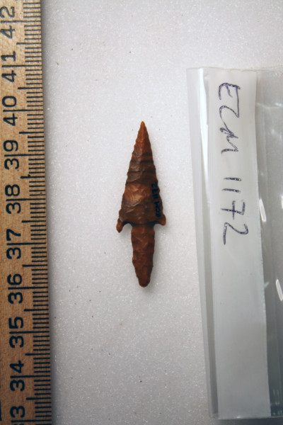 ECM.1172-2010-B image ECM.1172-2010-B