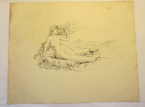 image FDA-D.1595_10-2018