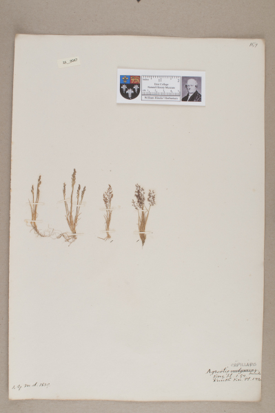 NHM_HH_35.47-2010 image NHM_HH_35.47-2010