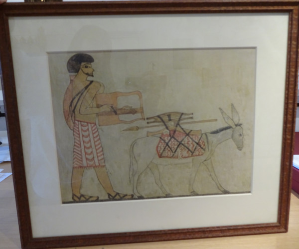 image FDA-E.3055_14-2018