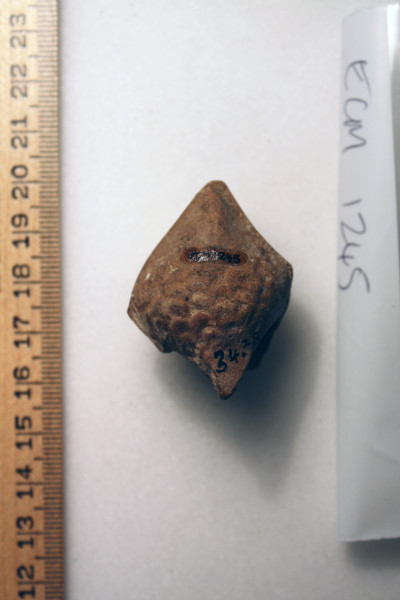 ECM.1245-2010-B image ECM.1245-2010-B