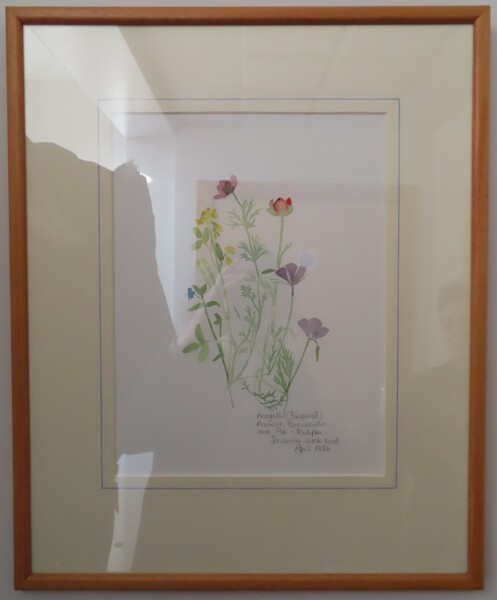 image FDA-D.1789-2026