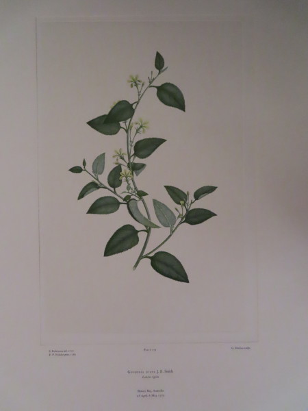 image FDA-E.2916_8_25-2016