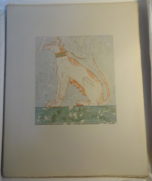 FDA-E.3055_55-2018 image FDA-E.3055_55-2018