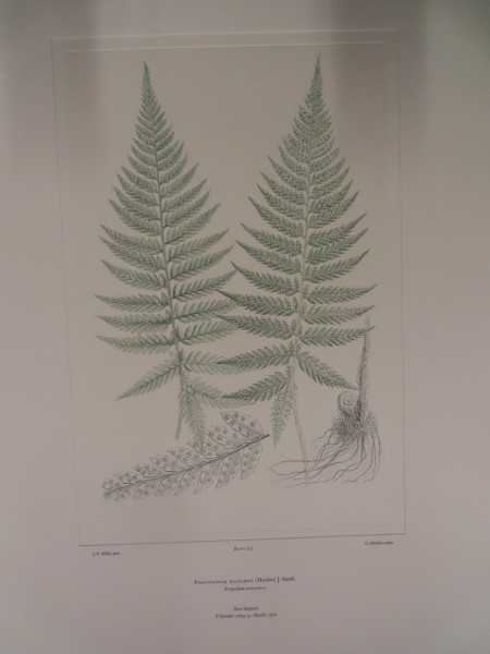 image FDA-E.2916_27_17-2016-A