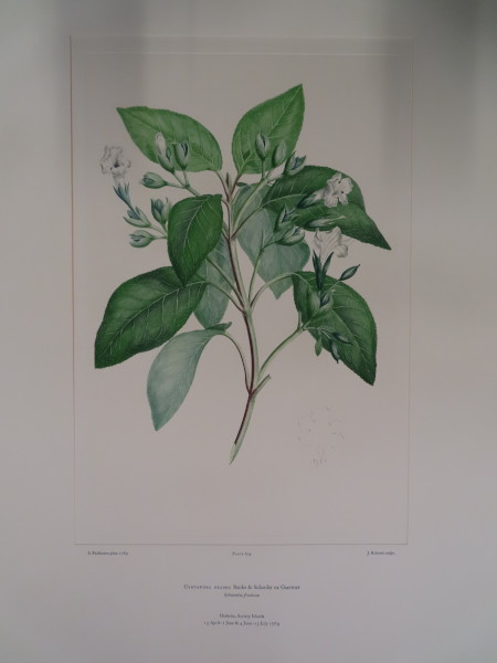 image FDA-E.2916_30_9-2016