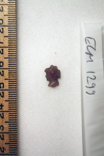 ECM.1299-2010-A image ECM.1299-2010-A