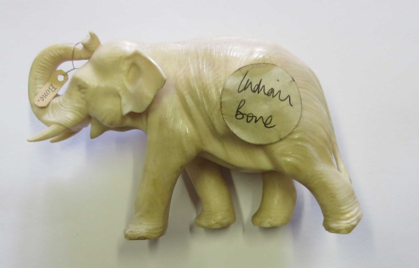 NHM-EE.34-2015 image NHM-EE.34-2015