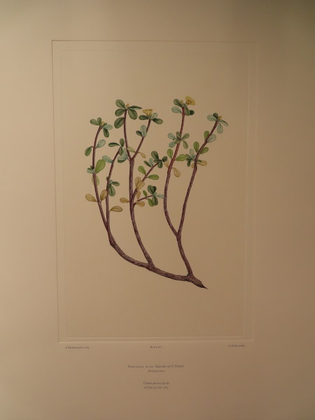 FDA-E.2916_28_6-2016-A image FDA-E.2916_28_6-2016-A