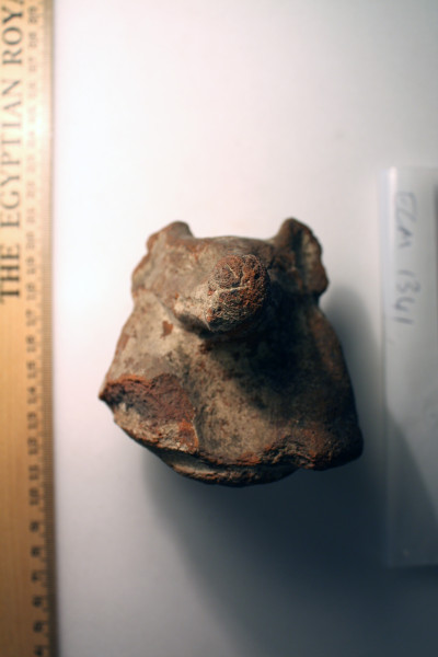 ECM.1341-2010-A image ECM.1341-2010-A