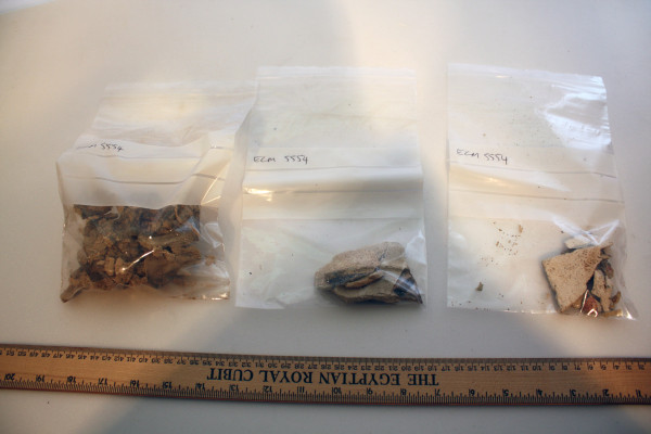 ECM.5554-2017-A image ECM.5554-2017-A