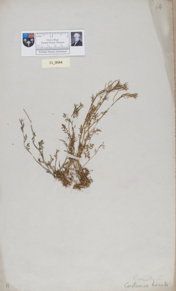 NHM_HH_11.44-2010 image NHM_HH_11.44-2010