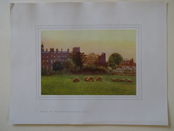 FDA-E.2833_4-2016 image FDA-E.2833_4-2016