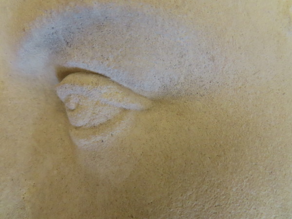 FDA-A.116-2010-C image FDA-A.116-2010-C