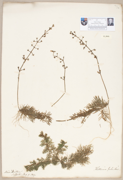 NHM_HH_12.45-2010 image NHM_HH_12.45-2010