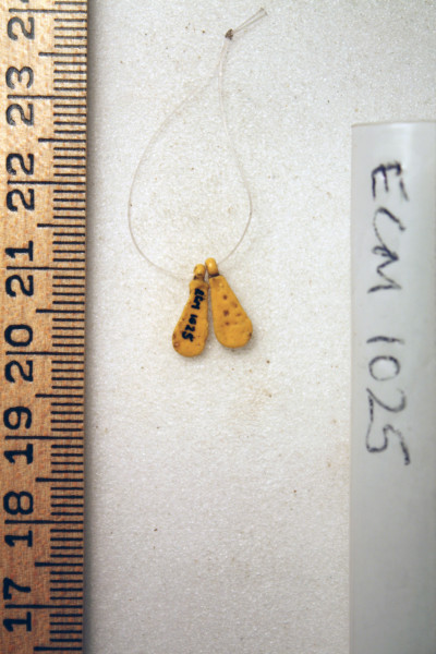 ECM.1025-2010-B image ECM.1025-2010-B