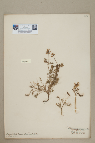 NHM_HH_15.32-2010 image NHM_HH_15.32-2010