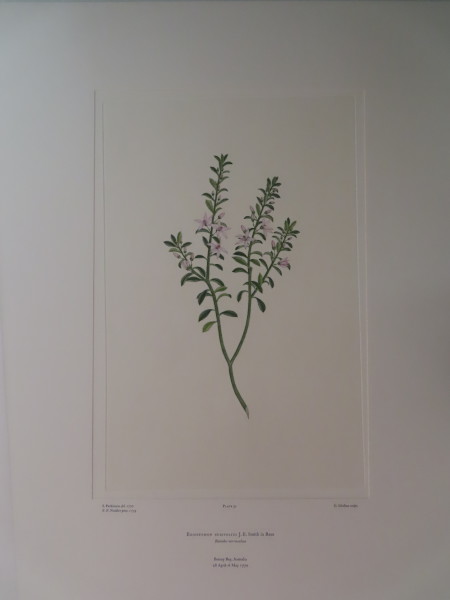 image FDA-E.2916_2_13-2016-A