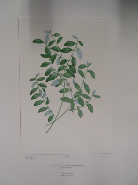 image FDA-E.2916_18_16-2016-A