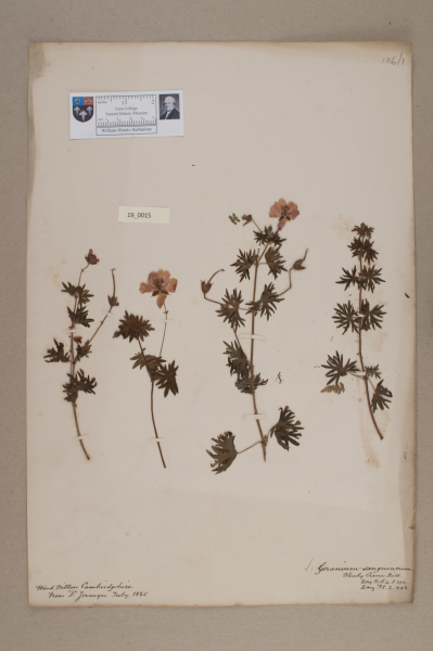 NHM_HH_19.15-2010 image NHM_HH_19.15-2010