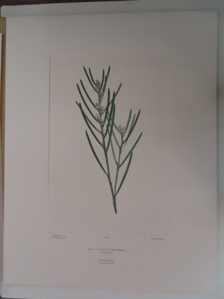 image FDA-E.2916_4_23-2016