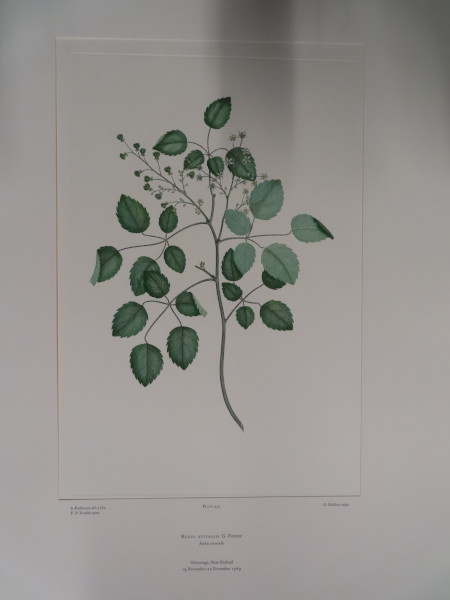 image FDA-E.2916_21_13-2016