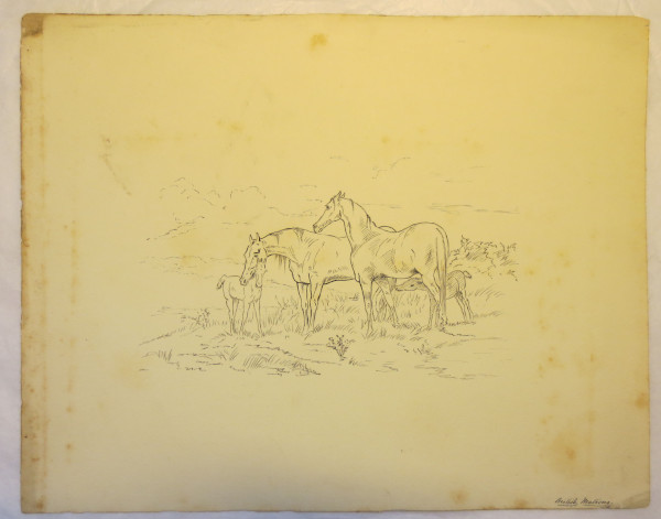 image FDA-D.1595_13-2018