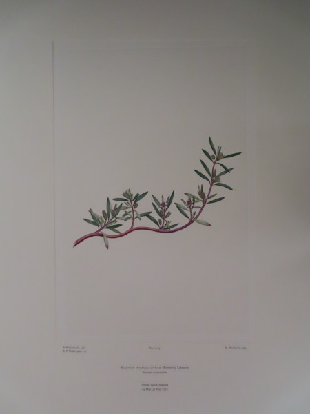 FDA-E.2916_6_26-2016 image FDA-E.2916_6_26-2016