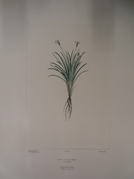 FDA-E.2916_23_14-2016 image FDA-E.2916_23_14-2016