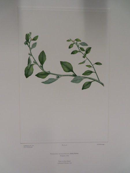 image FDA-E.2916_25_20-2016-A