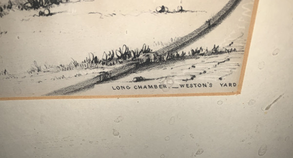 FDA-E.3182_2-2021-C image FDA-E.3182_2-2021-C