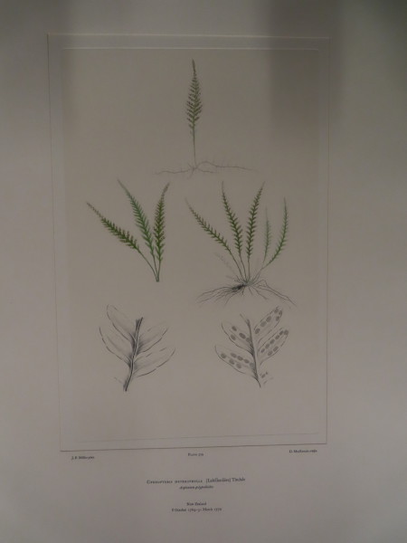 image FDA-E.2916_27_21-2016