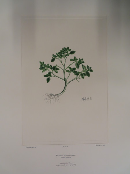 FDA-E.2916_31_14-2016-A image FDA-E.2916_31_14-2016-A