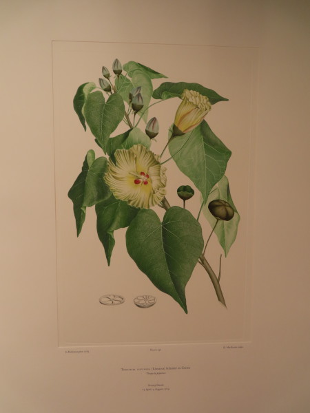 FDA-E.2916_28_10-2016 image FDA-E.2916_28_10-2016