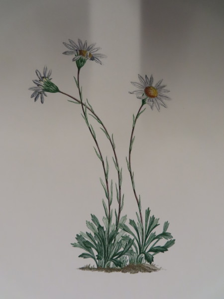 image FDA-E.2916_33_17-2016-A