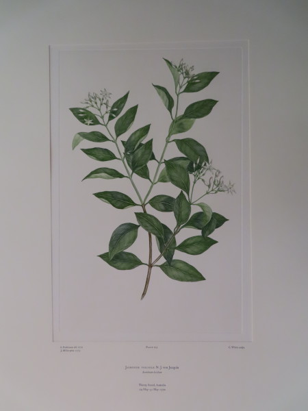 image FDA-E.2916_10_4-2016-A