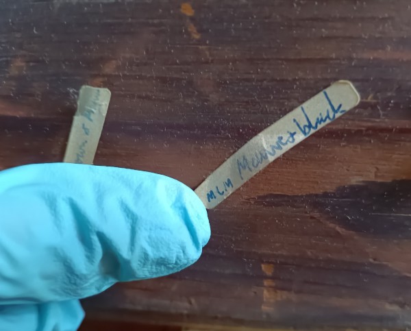 FDA-P.383-2010-H image FDA-P.383-2010-H