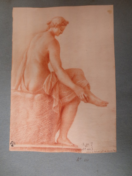 ECL-Bm.13_3-2013 image ECL-Bm.13_3-2013