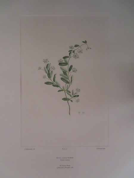 image FDA-E.2916_16_17-2016