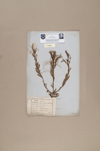 NHM_HH_17.14-2010 image NHM_HH_17.14-2010