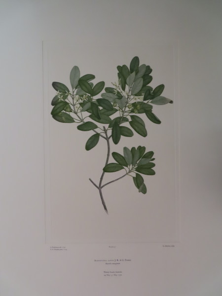 image FDA-E.2916_2_18-2016-A