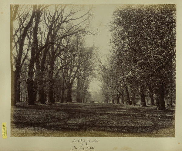 PA-A.126_23-2014 image PA-A.126_23-2014