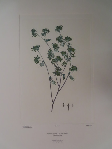 FDA-E.2916_4_5-2016-A image FDA-E.2916_4_5-2016-A