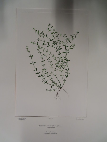 FDA-E.2916_21_18-2016 image FDA-E.2916_21_18-2016