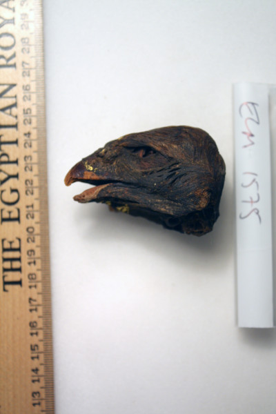 ECM.1575-2010-A image ECM.1575-2010-A