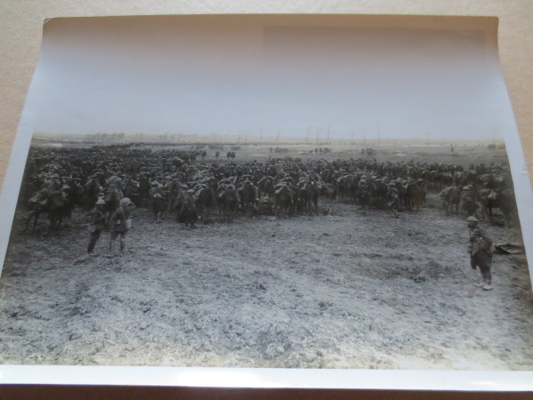 ECL-O.146_16-2014 image ECL-O.146_16-2014