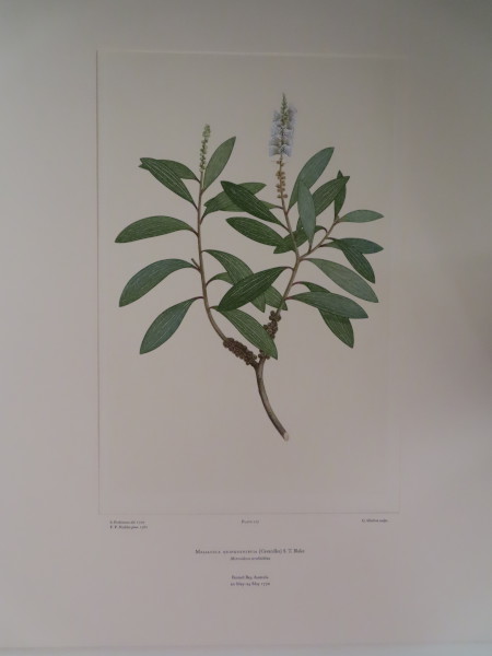 image FDA-E.2916_6_8-2016-A